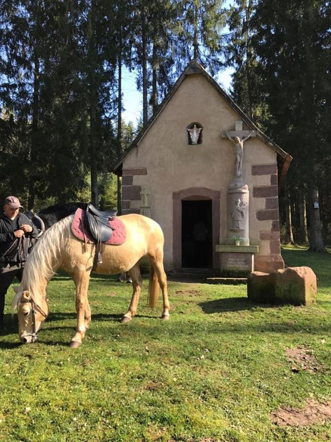 Villa Maria Petit-Rederching Bagian luar foto